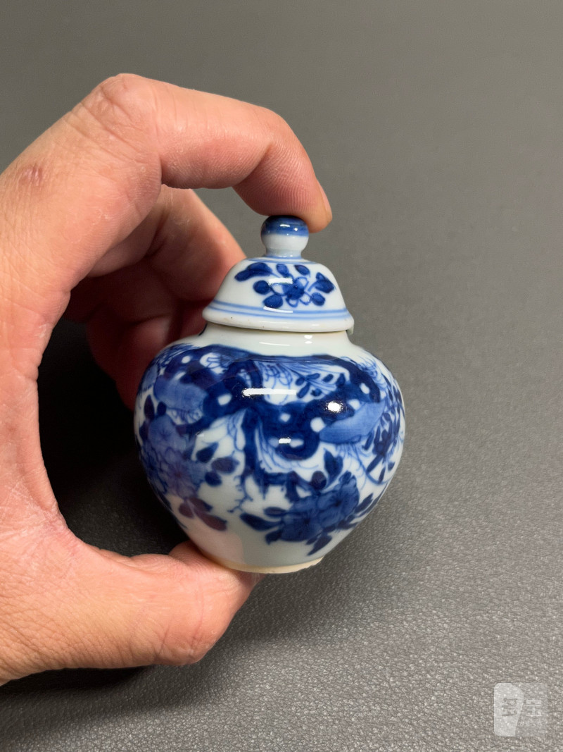 清康熙  青花虫草纹小盖罐 - 图8